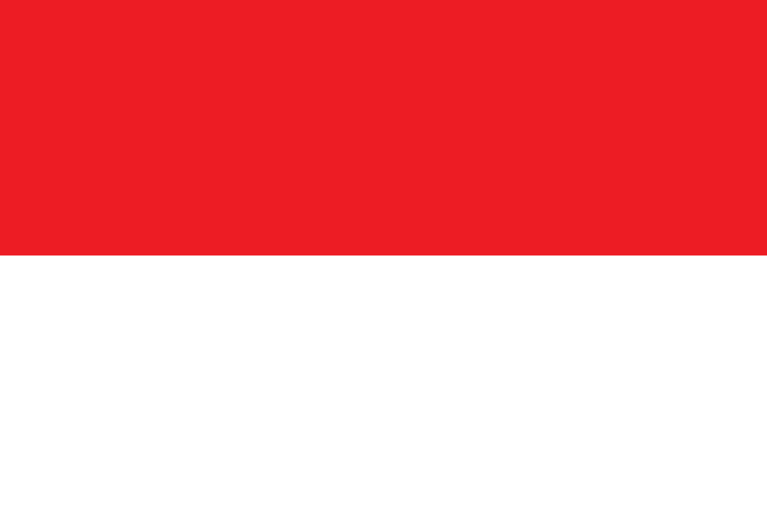 Selected Language Flag